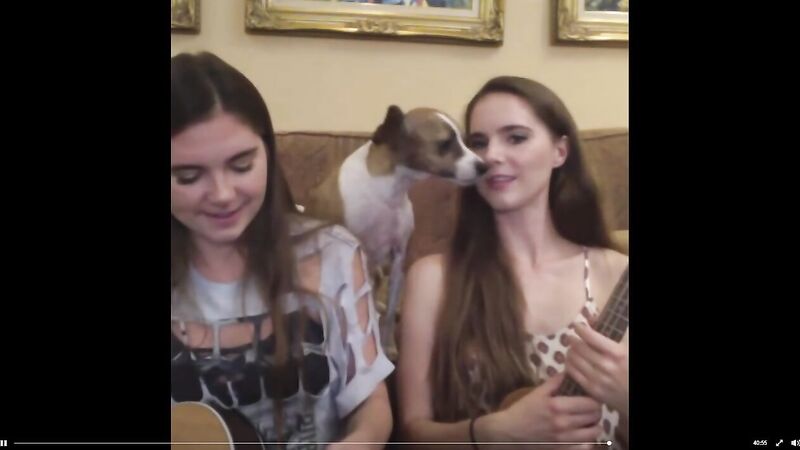 Nina Nelson Nipple Slip Youtube Live Stream